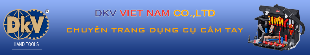 Cty TNHH DKV VIỆT NAM
